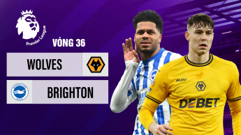 Wolverhampton Wanderers vs Brighton & Hove Albion - Premier League 2024/25 - Vòng 36